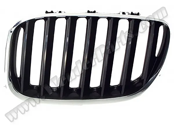 BMW X5 E53 Panjur Sol Krom/Siyah | WENDER BA51137113733