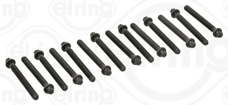 BMW 3 Serisi E36 M50 Silindir Kapağı Civata Seti | ELRING 802.740