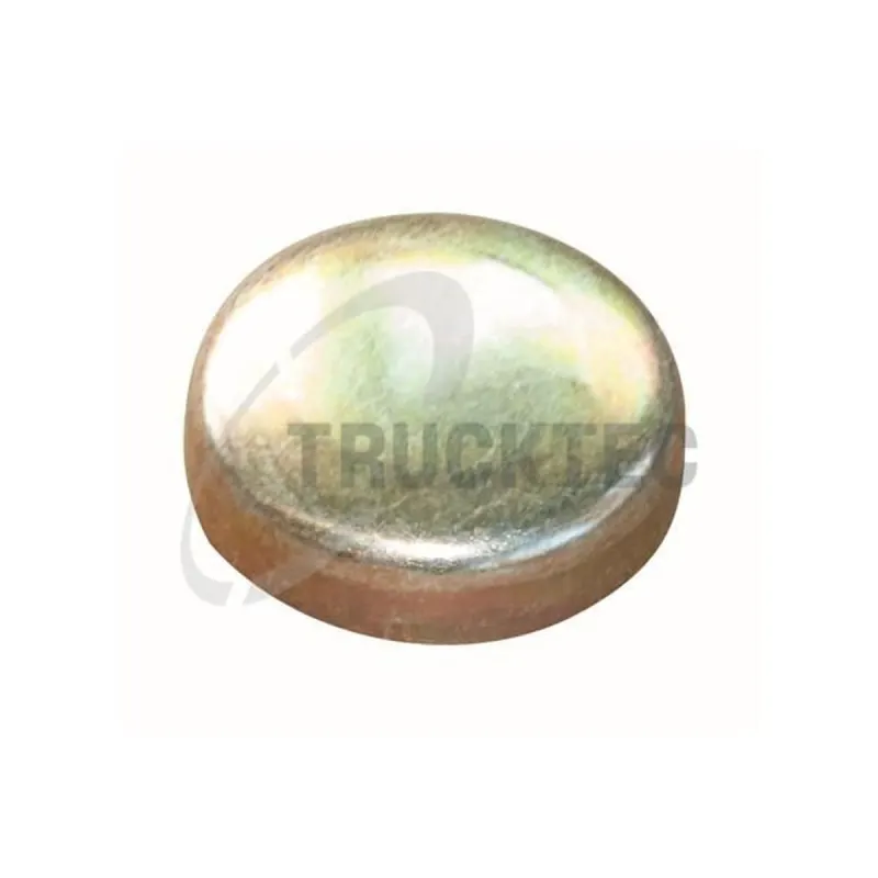 Mercedes Vito W638 OM601 Blok Su Tapası 34 mm | TRUCKTEC 02.67.043