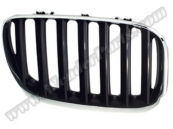 BMW X5 E53 Panjur Sağ Krom/Siyah | WENDER BA51137113734